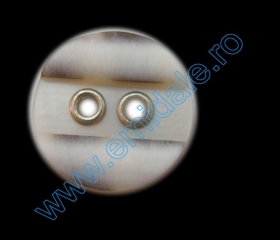 Four-Holes Buttons 0313-1314/32 (100 pcs/pack)  - 2 Holes Buttons LK2241/24 (144 pcs/pack) 