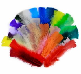 Feathers - Feathers FS1 (24 pcs/pack)