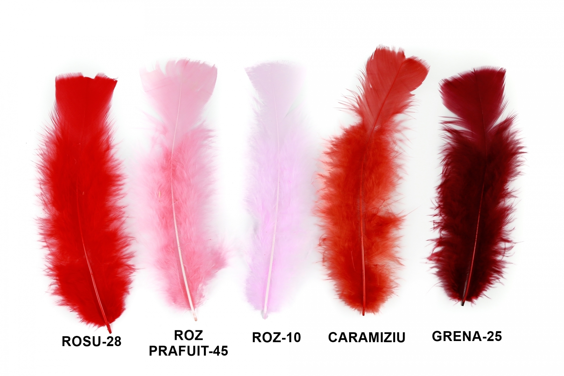 Pene FS1 (24 bucati/pachet) - 2