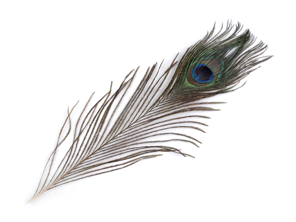 Pene Paun 20-30cm (1 bucata/pachet) - 2