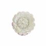 Shank Buttons with Pearls, Sequins and Beads, 5 cm, Cream (6 pcs/pack) Code: BT0826 - 5