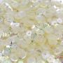 Sequins, 6mm ( 100 /pack) - 2