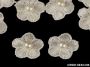 Pearl Embroidered Flowers, diameter 20 mm (10 pcs / package) Code: 400098 - 5