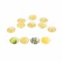 Plastic Shank Buttons, Size: 28 Lin (50 pcs/pack)Code: 9017/28 - 1