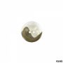 2 Holes Buttons, 23 mm  (50 pcs/pack)Code: 13462/36 - 5