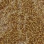 Opaque Glass Beads, Gold (100 gr/bag) - 2