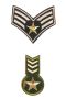 Embleme Termoadezive, Army (10 buc/pachet) Cod: 390564 - 1