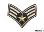 Embleme Termoadezive, Army (10 buc/pachet) Cod: 390564 - 2