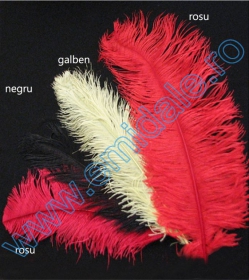 Feathers - Decorative Ostrich Feathers, length: 30-40 cm (1 pcs)