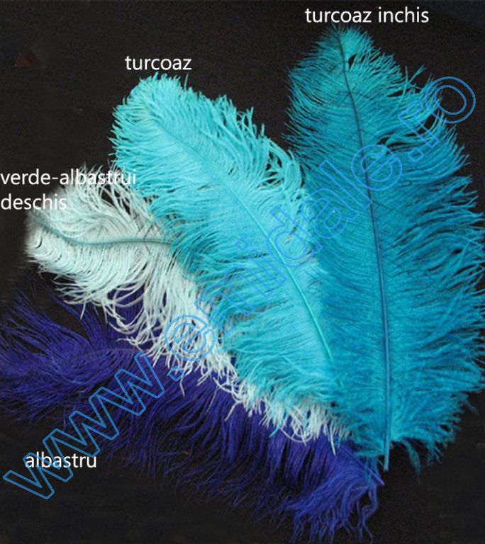 Pana Decorativa Strut, lungime: 30-40 cm  (1 bucata) - 6