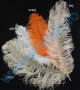 Decorative Ostrich Feathers, length: 30-40 cm (1 pcs) - 2