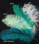 Decorative Ostrich Feathers, length: 30-40 cm (1 pcs) - 4