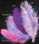 Decorative Ostrich Feathers, length: 30-40 cm (1 pcs) - 5