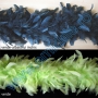 Turkey Feather (2 meters/pcs) Code: YB1 - 7