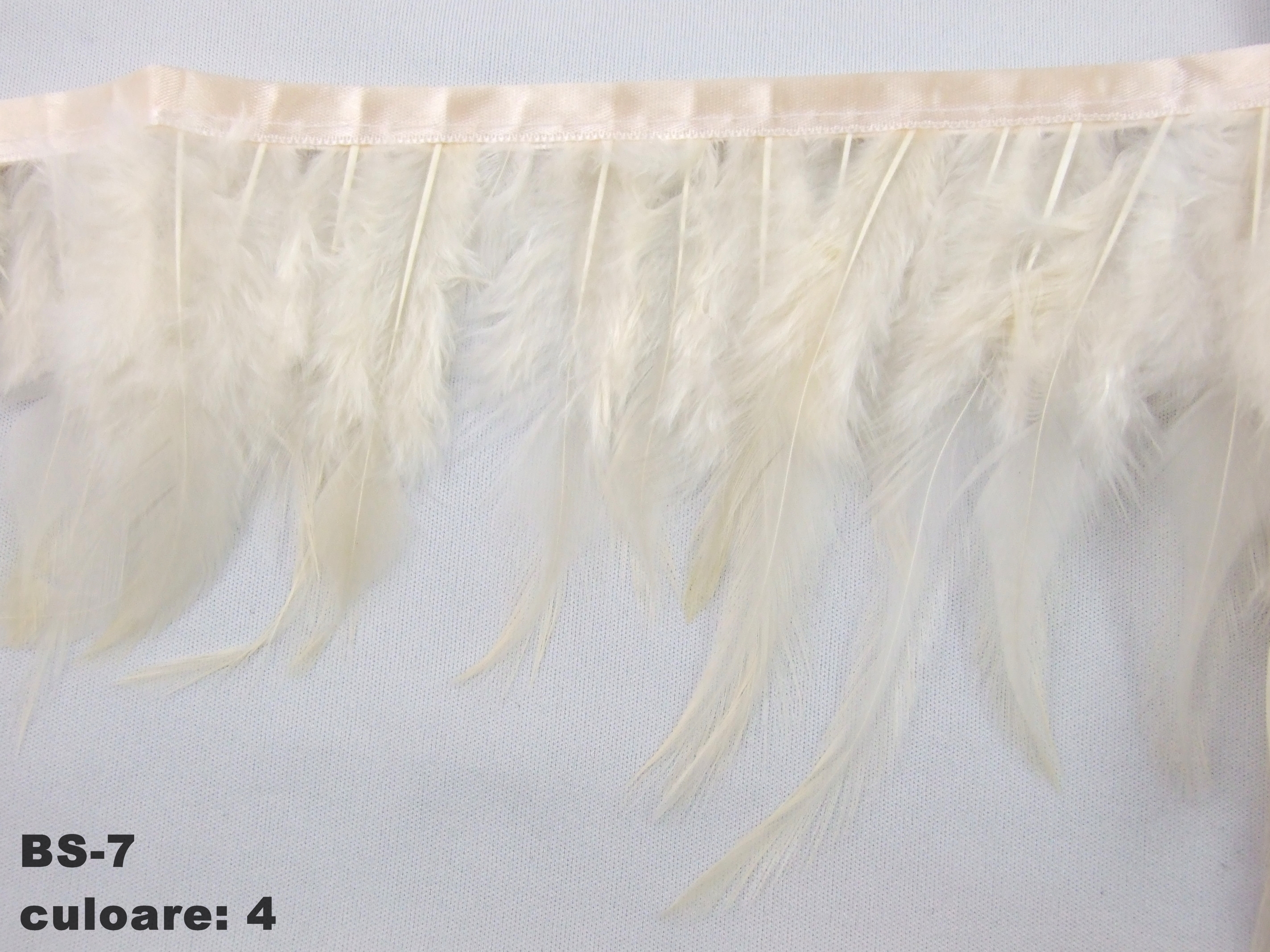 Turkey Feather, width 10 cm (5 meters/pcs) Code: BS7