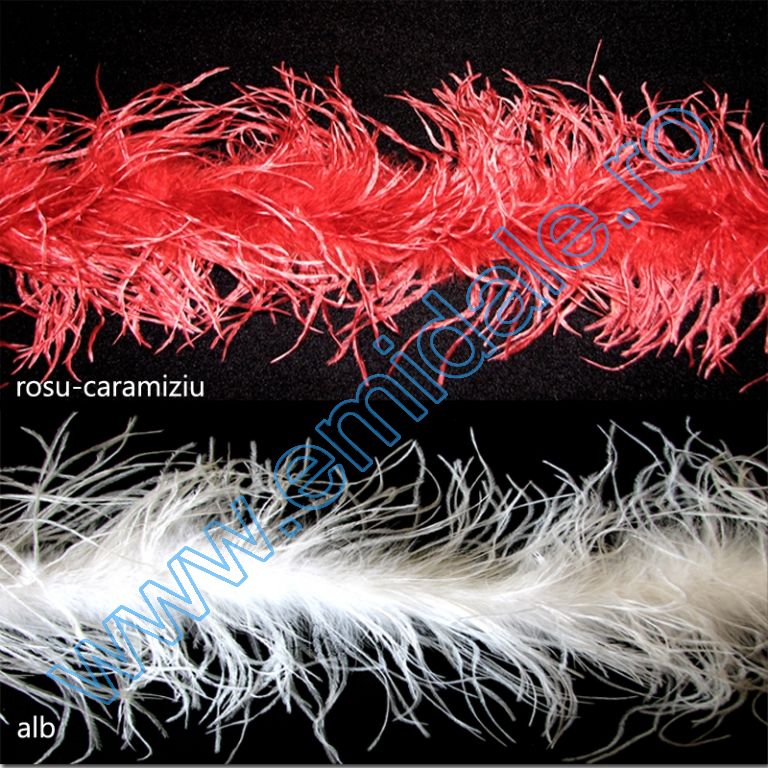 Sal Fulgi Strut (2 metri/bucata) Cod: HD103 - 3