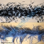 Ostrich Feather (2 meters/pcs) Code: HD103  - 5