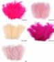Decorative Ostrich Feathers, length: 9 - 16 cm (1 pack) - 4