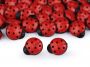 Baby Plastic Buttons, Lady Bug Size: 15 mm (100 pcs/pack)Code: 120665 - 1