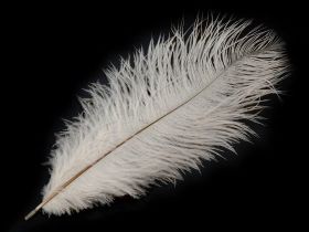 Feathers - Decorative Ostrich Feathers, length: 22 - 25cm (2 pcs / box) code: 150438