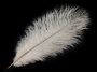 Decorative Ostrich Feathers, length: 22 - 25cm (2 pcs / box) code: 150438 - 1