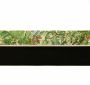 Banda Betelie Pantaloni, latime 5 cm (60 metri/pachet)  - 2
