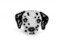 Embleme Termoadezive, Caine (10 buc/pachet) Cod: 400343 - 2