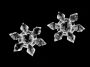 Fulgi de Zapada Decorativi, 29 mm (10 buc/pachet)Cod: 840591 - 2