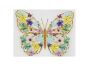 Embleme Termoadezive, Fluture (10 bucati/pachet) Cod: 400382 - 3